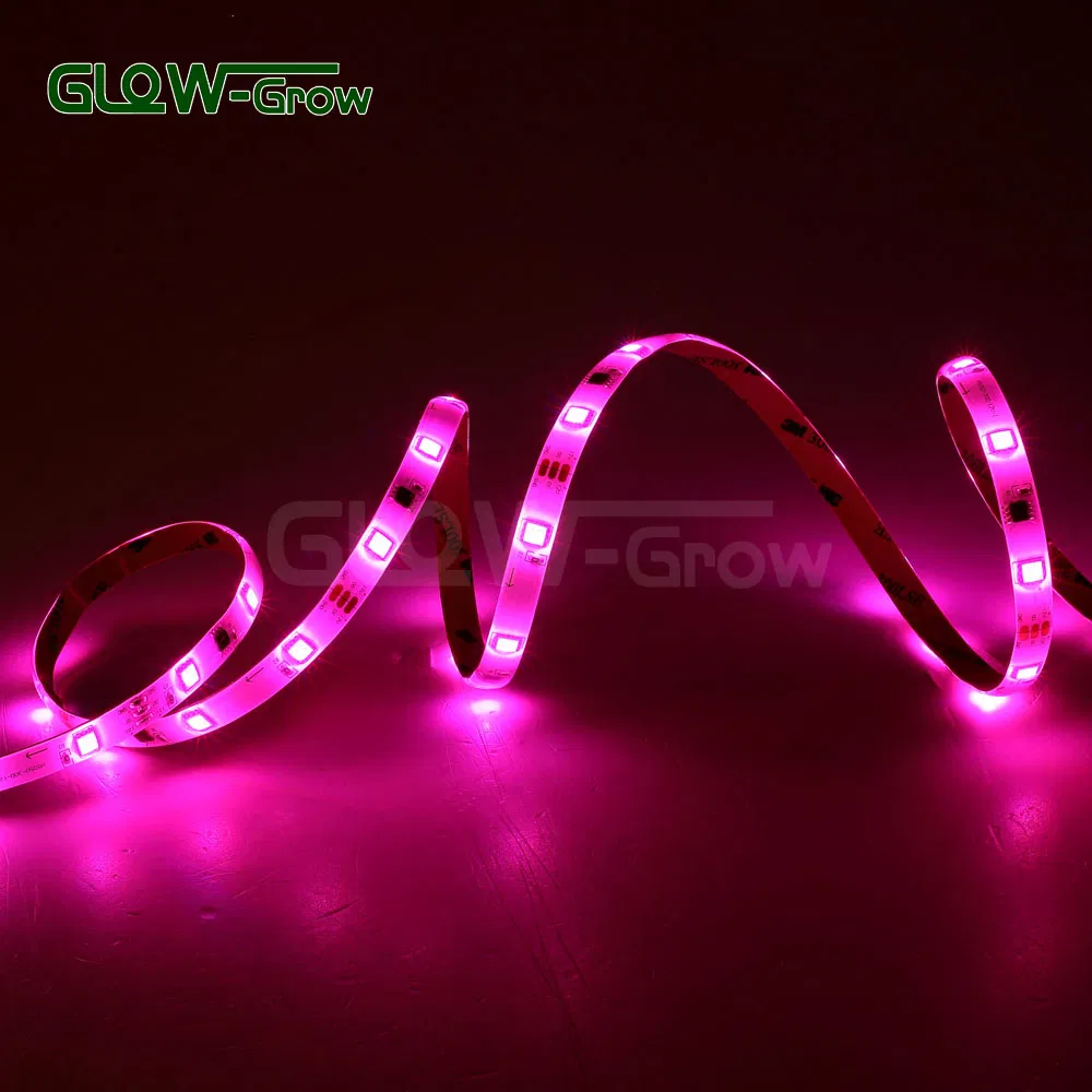 16 Million Colors Smart LED Strips Light with APP Controlled (Alexa+Google Home) for House Party Home Game Room Park Decoration