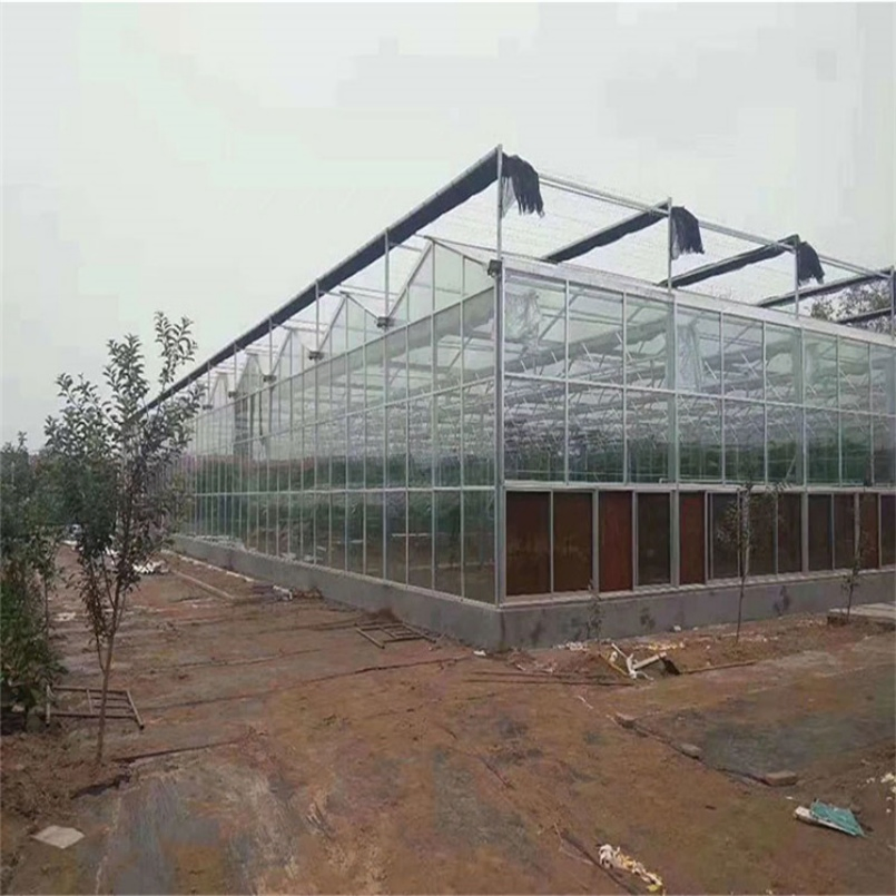 High Efficient Commercial Glass Greenhouse with Shading System for Seedling Nurseries