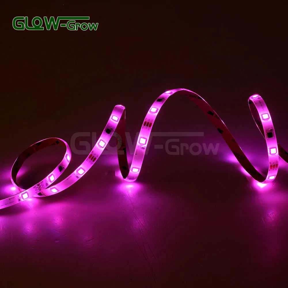 16 Million Colors Smart LED Strips Light with APP Controlled (Alexa+Google Home) for House Party Home Game Room Park Decoration