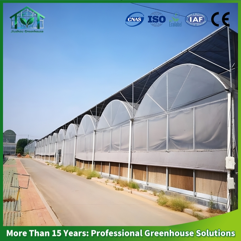 Multi-Span Arch Plastic Film Greenhouse Hot DIP Galvanized Steel Frame Ventilation for Commercial Vegetable Flower Fruit Nursery Hydroponic Agriculture Farm