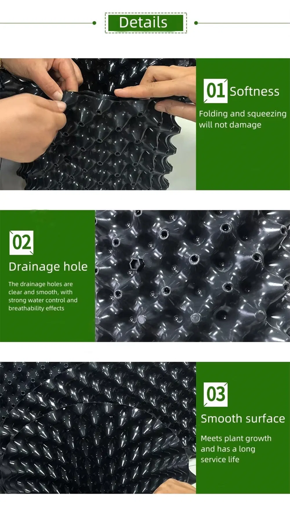 Root System Comparison