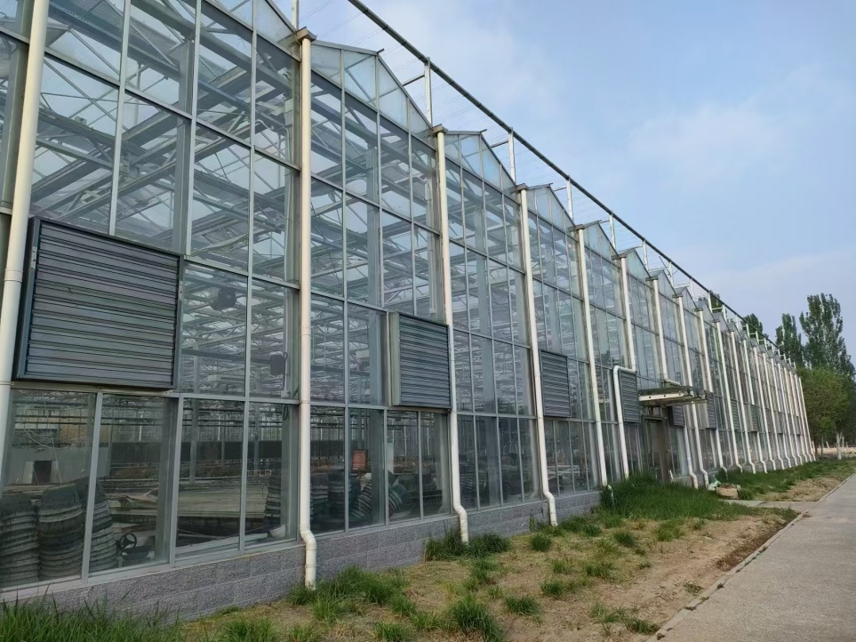 High Efficient Commercial Glass Greenhouse with Shading System for Seedling Nurseries
