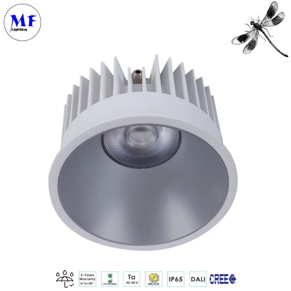 Commercial IP66 Waterproof Downlight Indoor Lighting Hotel Bathroom Shower Room Toilet 15W/18W/28W/38W/48W LED Down Light Ceiling Lamp