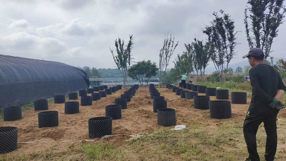 Air Pruning Pot Details