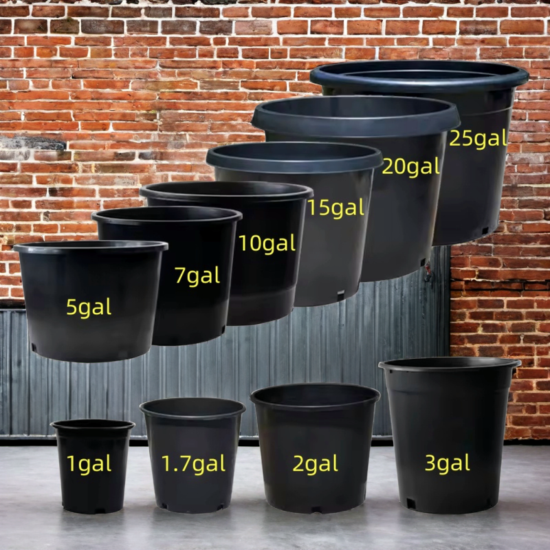 Industry Leading Injection Molding Various Sizes Plastic Gallon Flower Pots Nursery Pots