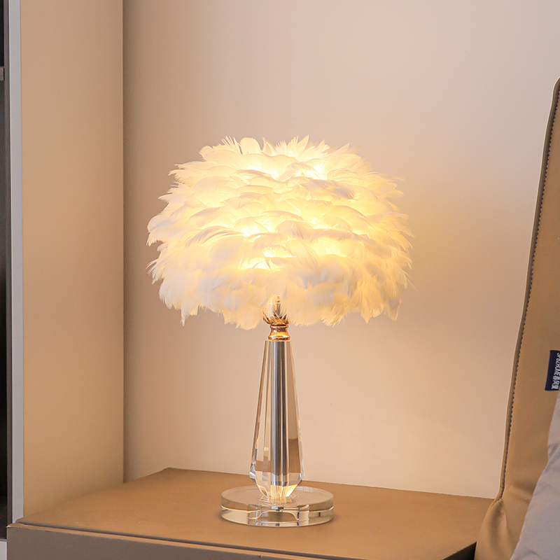 Nordic E27 Luxury Crystal Feather Table Light Lighting Lamp (ZY-YM13)