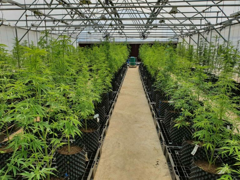 Nursery Plastic Pot PE 0.8mm Root Pruning Container with UV Resistance