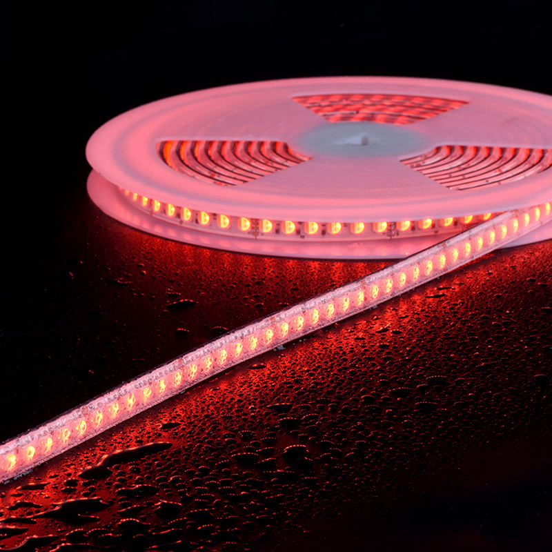 LED Strip APP or Remote Controlled 5050 Rgbic RGBW 24V Smart Strip Light /LED Light Strip /LED Strip Light for Living Room