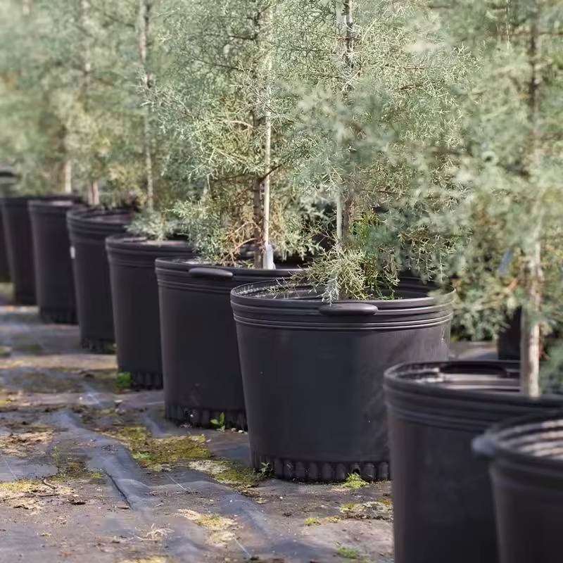 Big Mini Gallon Pots for Wholesale Plant Nursery Flowerpot Equipment