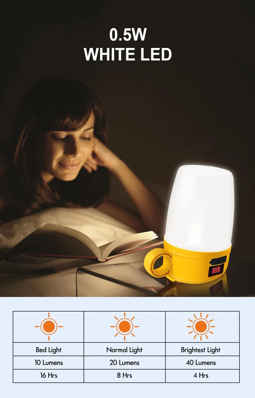 Solar Lantern View 6