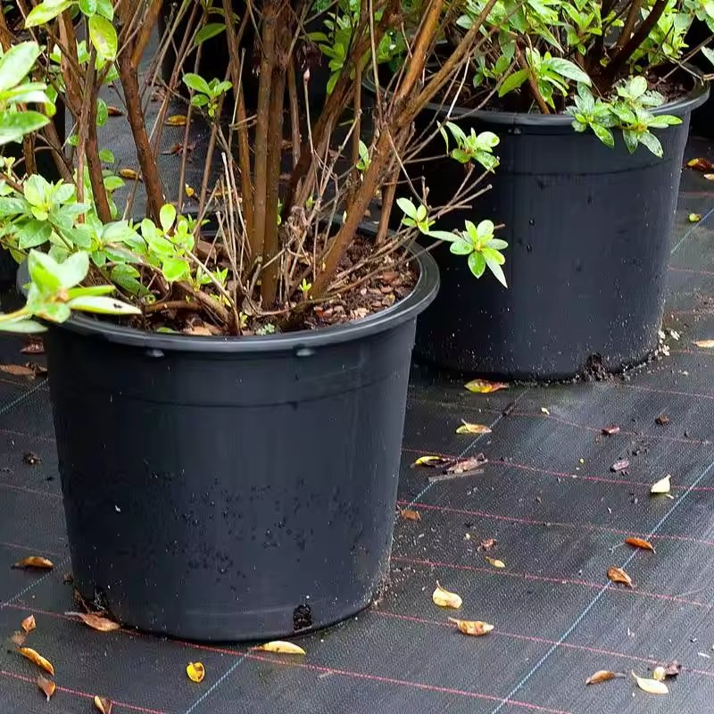 Industry Leading Injection Molding Various Sizes Plastic Gallon Flower Pots Nursery Pots