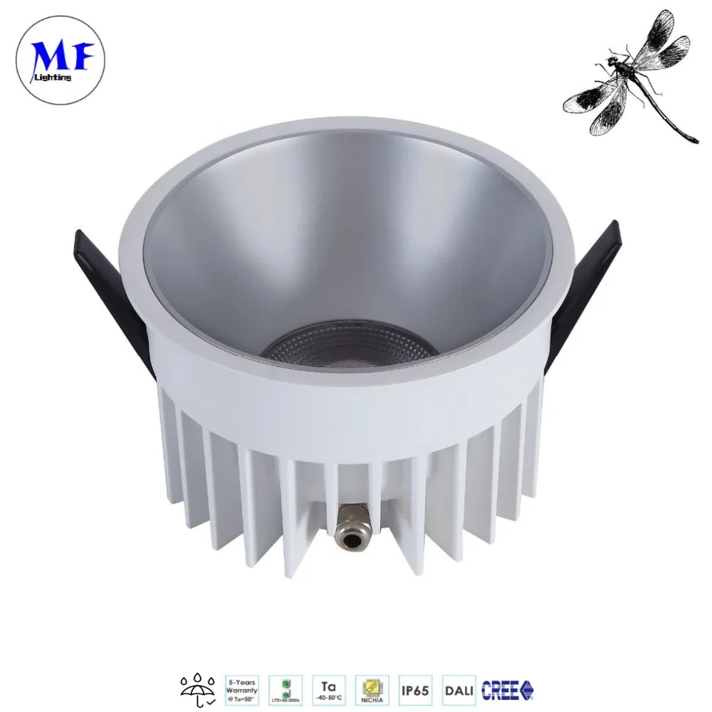 Commercial IP66 Waterproof Downlight Indoor Lighting Hotel Bathroom Shower Room Toilet 15W/18W/28W/38W/48W LED Down Light Ceiling Lamp