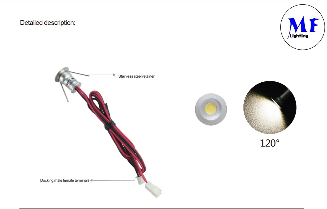 LED Down Light