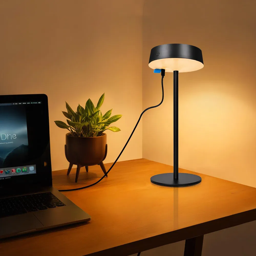 Solar Table Lamp View 2