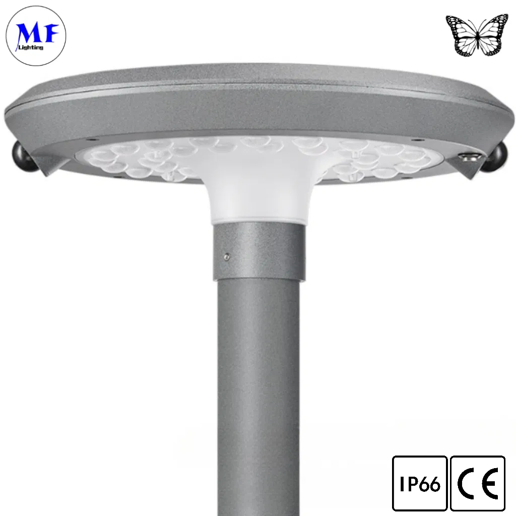 Factory Price 2 Years Warranty IP66 Waterproof Double PIR Motion Sensors Solar LED Outdoor Street Garden Lighting for Pathway