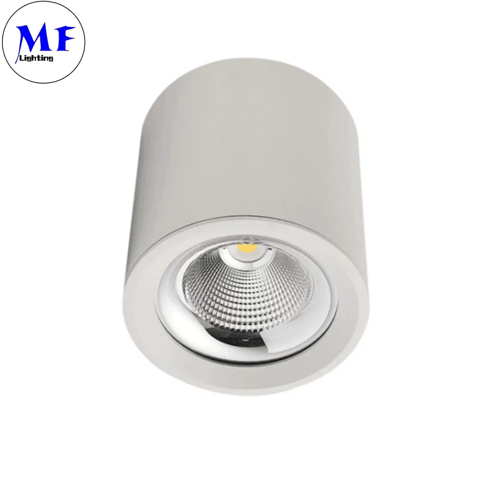 TUV Recessed Ceiling Commercial Residential Lighting COB Anti Dazzle Glare 5W-80W High Power Spot LED Down Lamp for Living Room Bedroom Bathroom Exhibition Hall