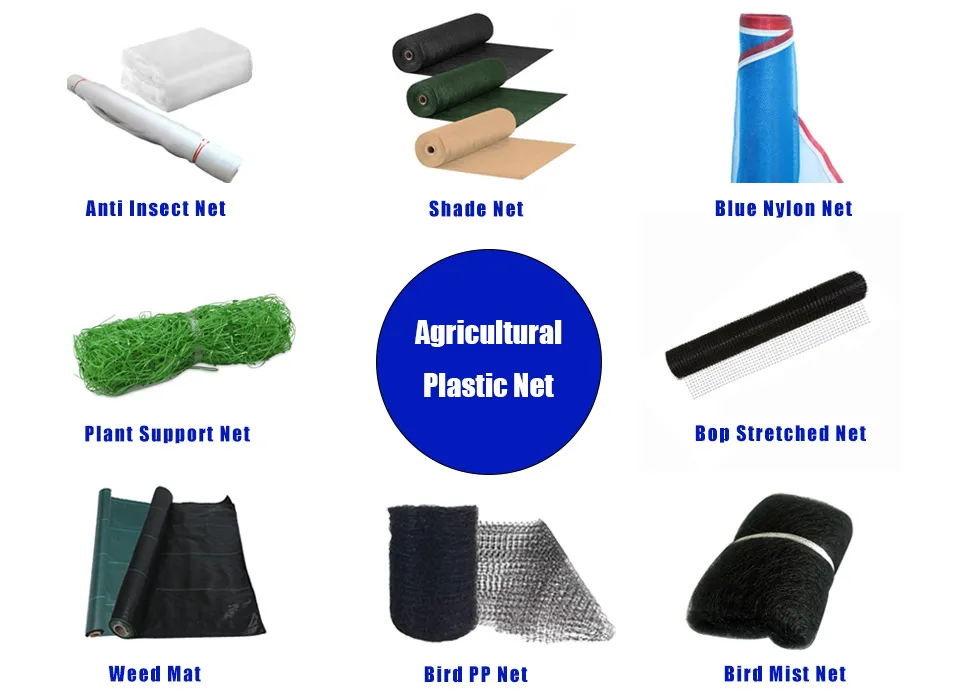 Related Mesh Products