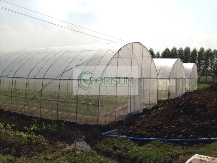 Greenhouse Frame