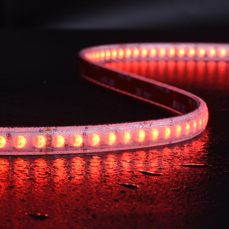 LED Strip APP or Remote Controlled 5050 Rgbic RGBW 24V Smart Strip Light /LED Light Strip /LED Strip Light for Living Room