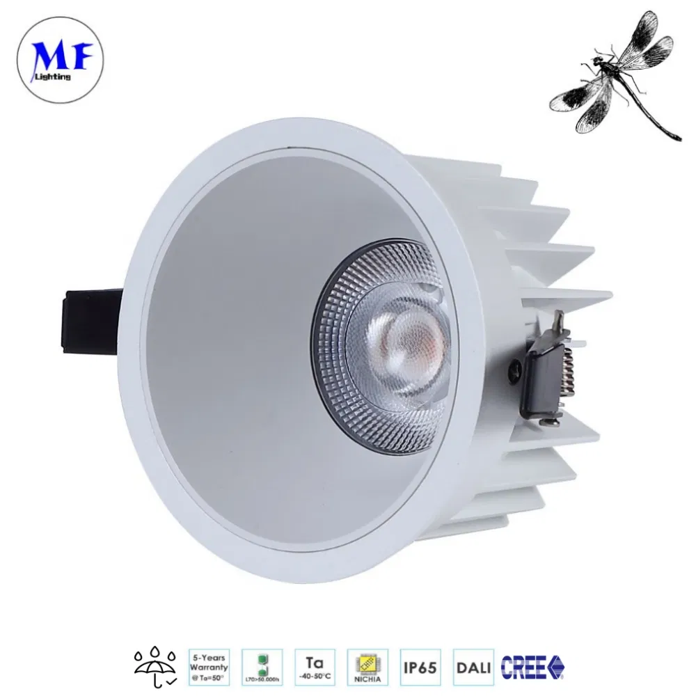 Commercial IP66 Waterproof Downlight Indoor Lighting Hotel Bathroom Shower Room Toilet 15W/18W/28W/38W/48W LED Down Light Ceiling Lamp
