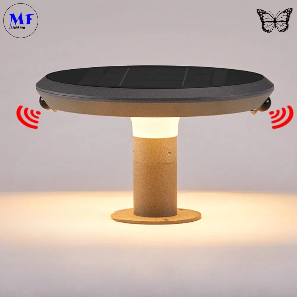 Factory Price 2 Years Warranty IP66 Waterproof Double PIR Motion Sensors Solar LED Outdoor Street Garden Lighting for Pathway