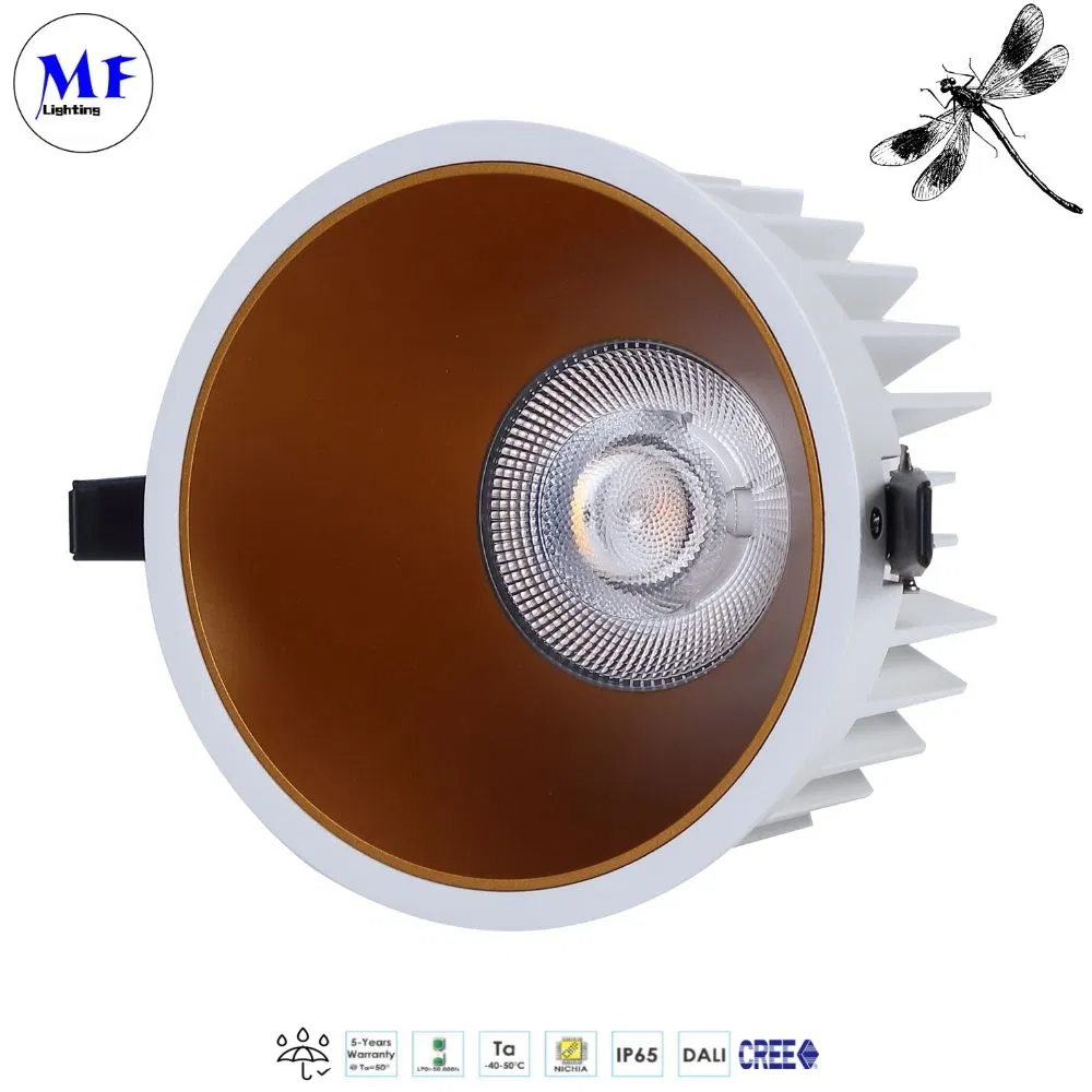 Commercial IP66 Waterproof Downlight Indoor Lighting Hotel Bathroom Shower Room Toilet 15W/18W/28W/38W/48W LED Down Light Ceiling Lamp