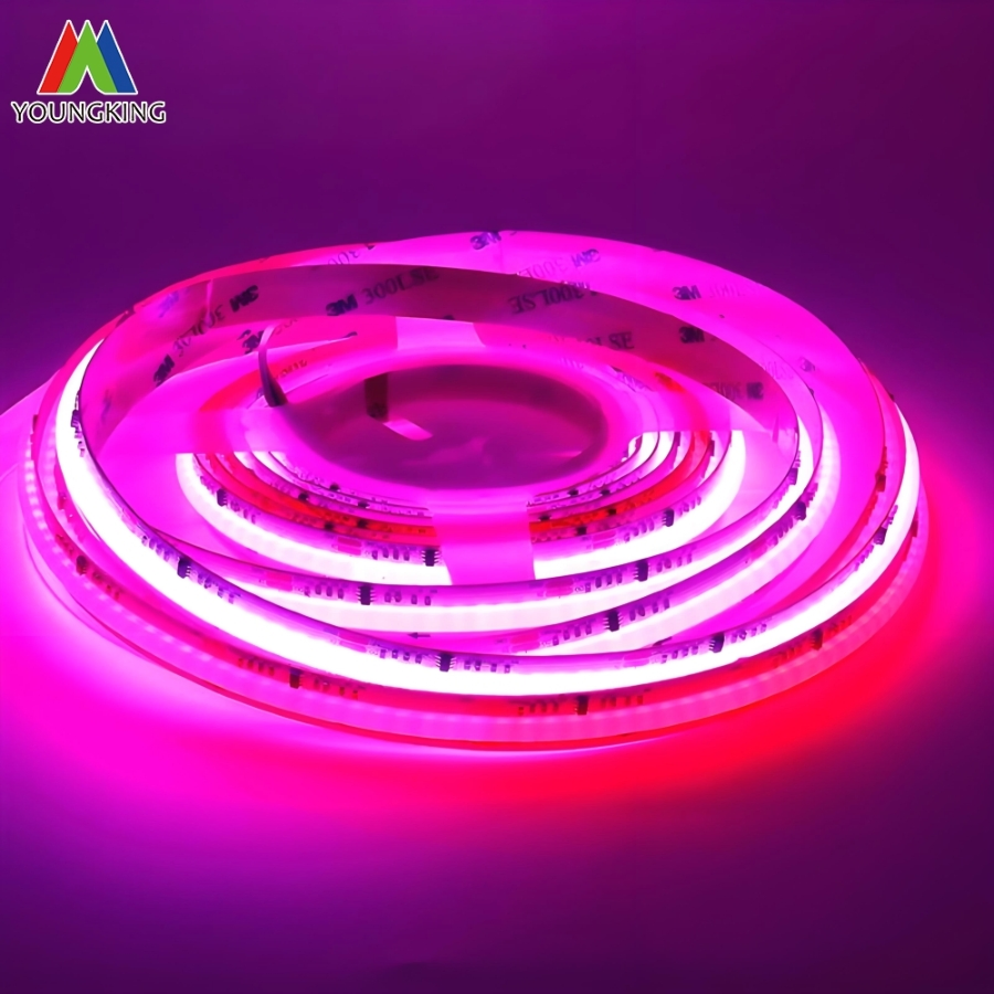 8mm 10mm 12mm Width Rgbic COB LED Strip Light Addressable LED RGB IC Ws2811 12V/24V LED Strip 720LEDs Tira De Luz LED COB LED Strip Light