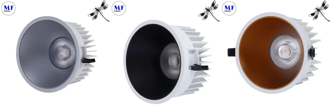 Detailed Downlight View