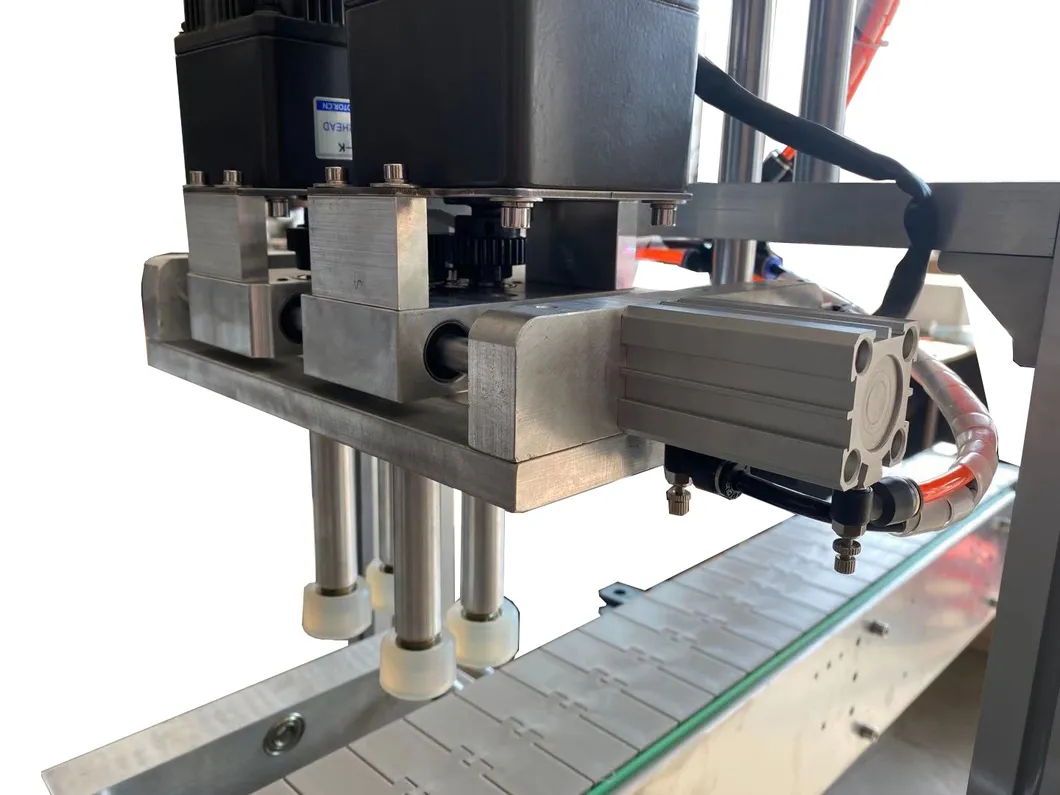 Capping Machine Detail 4