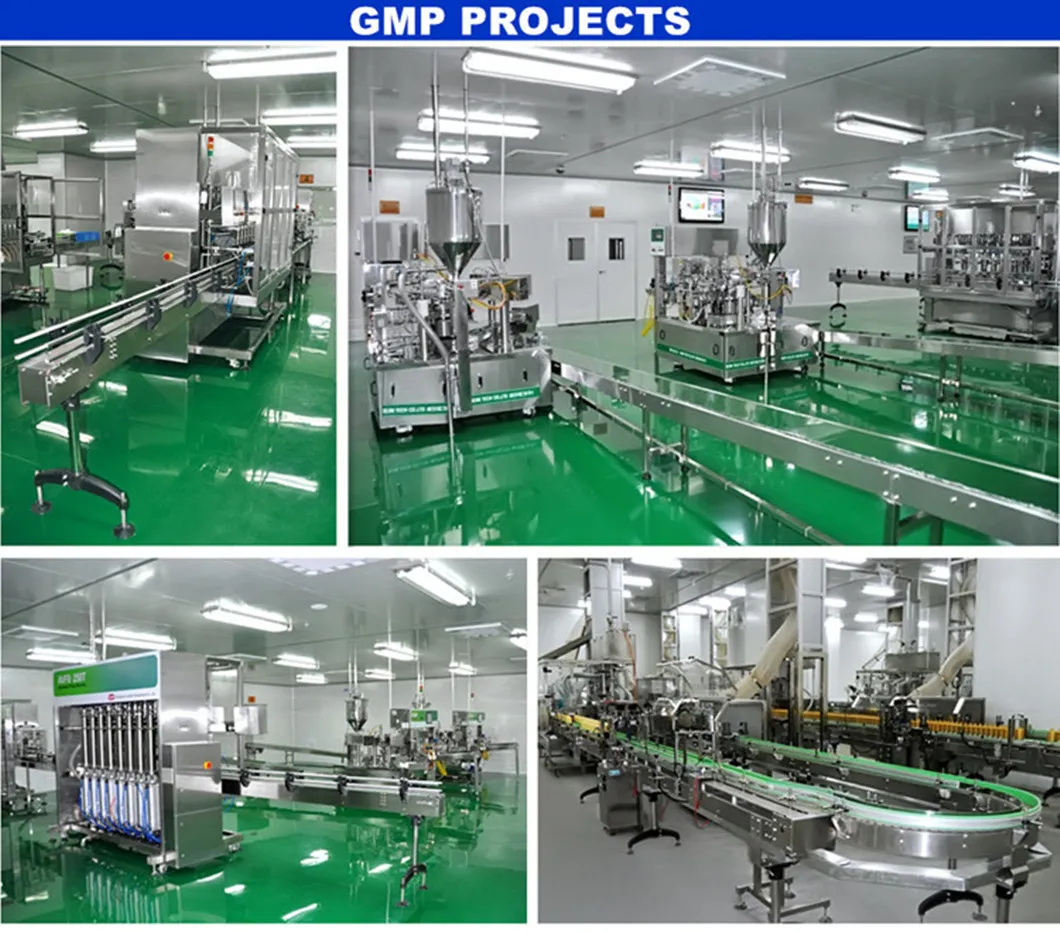 GMP Project Site