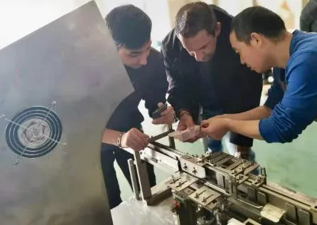 After-sales Engineer Team