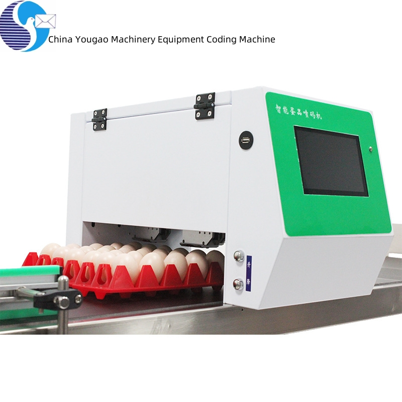 Inkjet Printer Coding with Cheap Price Eggs Expiry Date Printing Machine Egg Printer