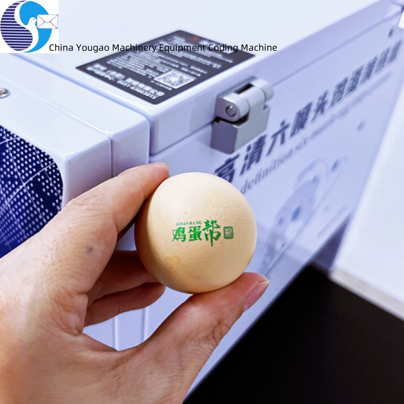 Inkjet Printer Coding with Cheap Price Eggs Expiry Date Printing Machine Egg Printer