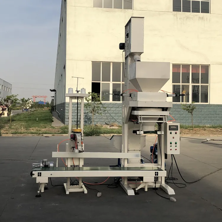 Packing Scale System 1