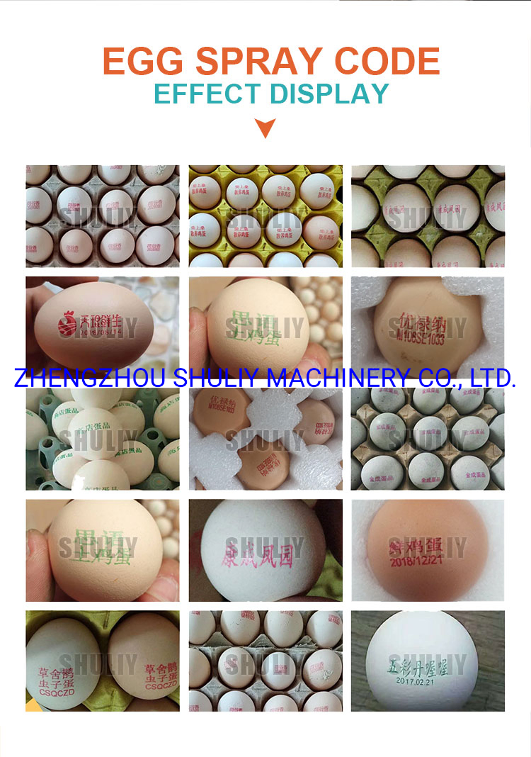 Durable Inkjet Code Printers/ Egg Stamping Machine/Inkjet Coding Machine with Cheap Price