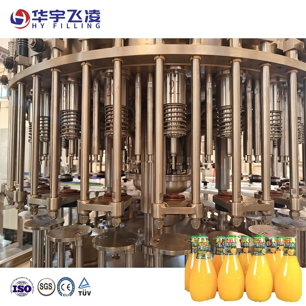 Automatic Glass Bottle Rinsing Capping Screw Cap Ropp Aluminum Capper Filling Machine for Juice and Water with High Quality