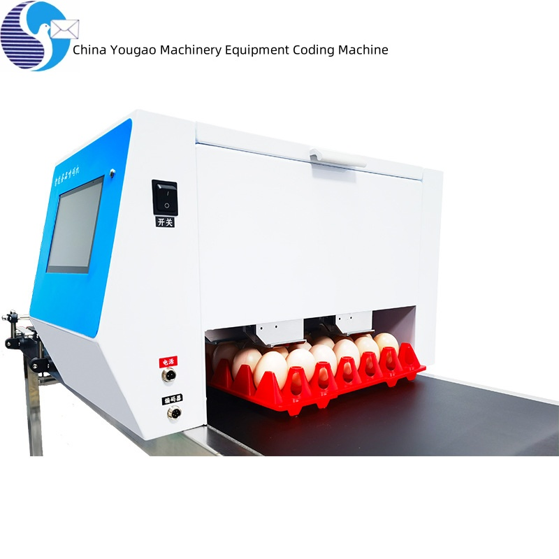 Inkjet Printer Coding with Cheap Price Eggs Expiry Date Printing Machine Egg Printer