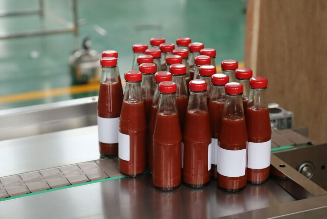 Fully Automatic Multihead Piston Honey Jam Paste Product Filling and Capping Machine Line