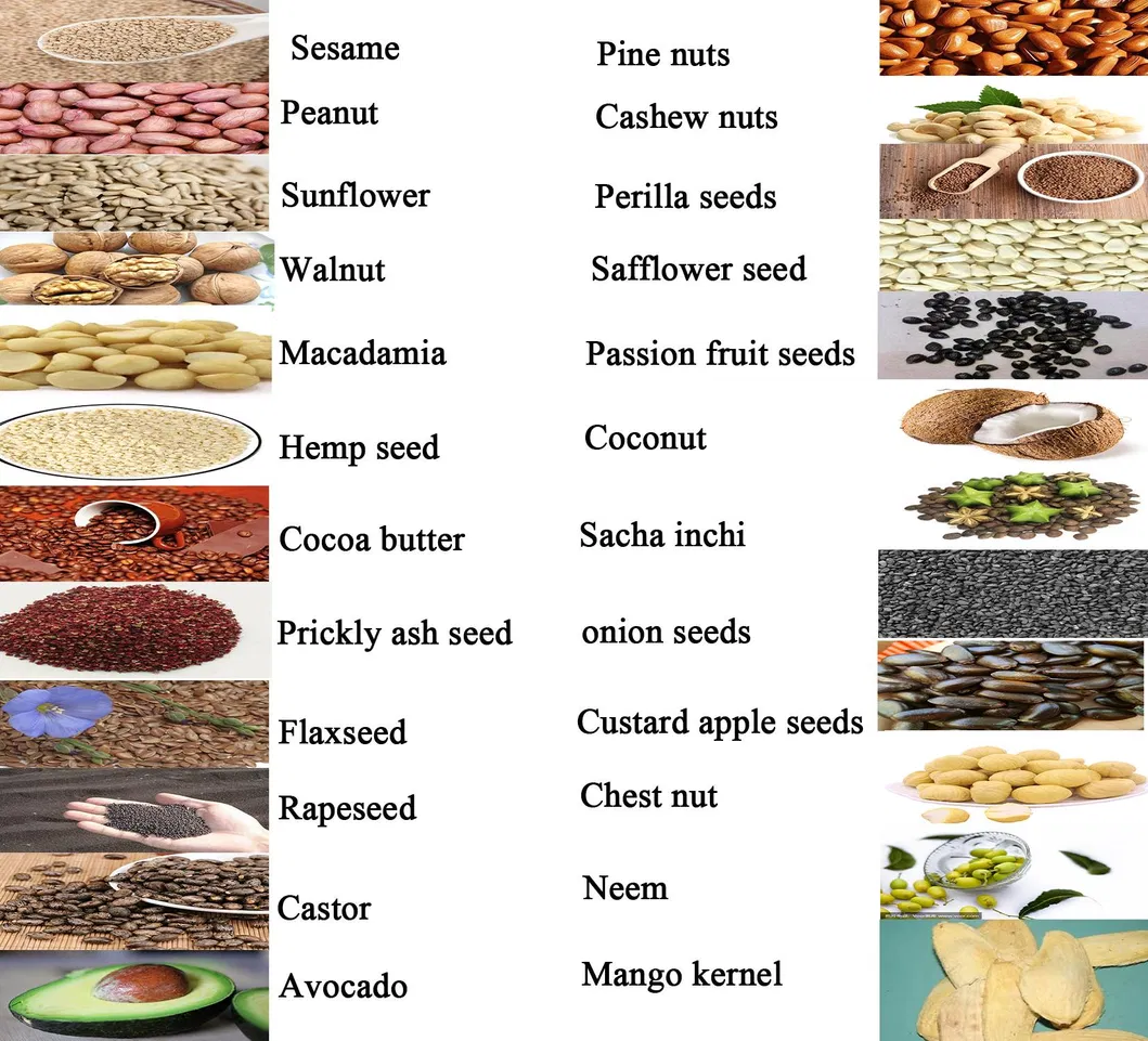 Raw Materials for Oil Press