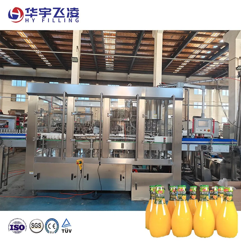 Automatic Glass Bottle Rinsing Capping Screw Cap Ropp Aluminum Capper Filling Machine for Juice and Water with High Quality