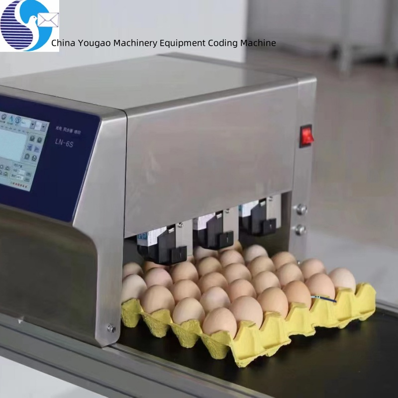 Inkjet Printer Coding with Cheap Price Eggs Expiry Date Printing Machine Egg Printer