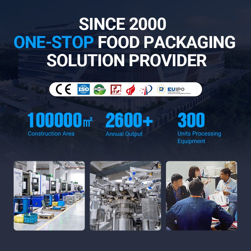 Linpack CE RoHS Automatic Zipper Bag Filling Sealing Coffee Protein Matcha Flour Milk Powder Paper Bag Pouch Sealer Doypack Packaging Machinery Packing Machine