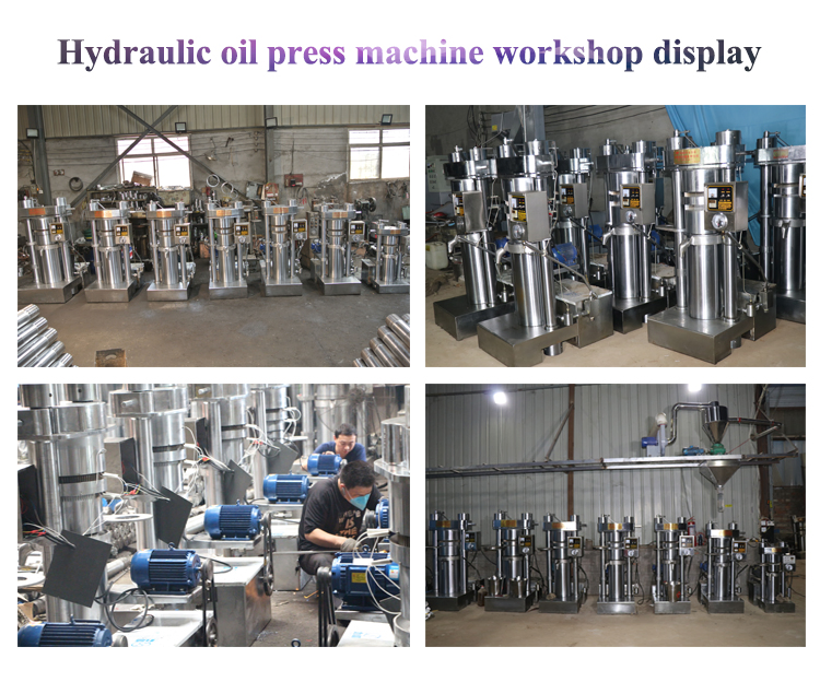 High-Efficiency Hydraulic Oil Press for Sesame and Rapeseed