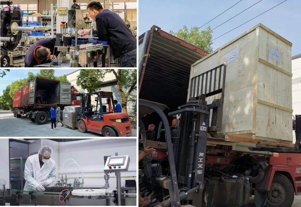 Professional Workshop