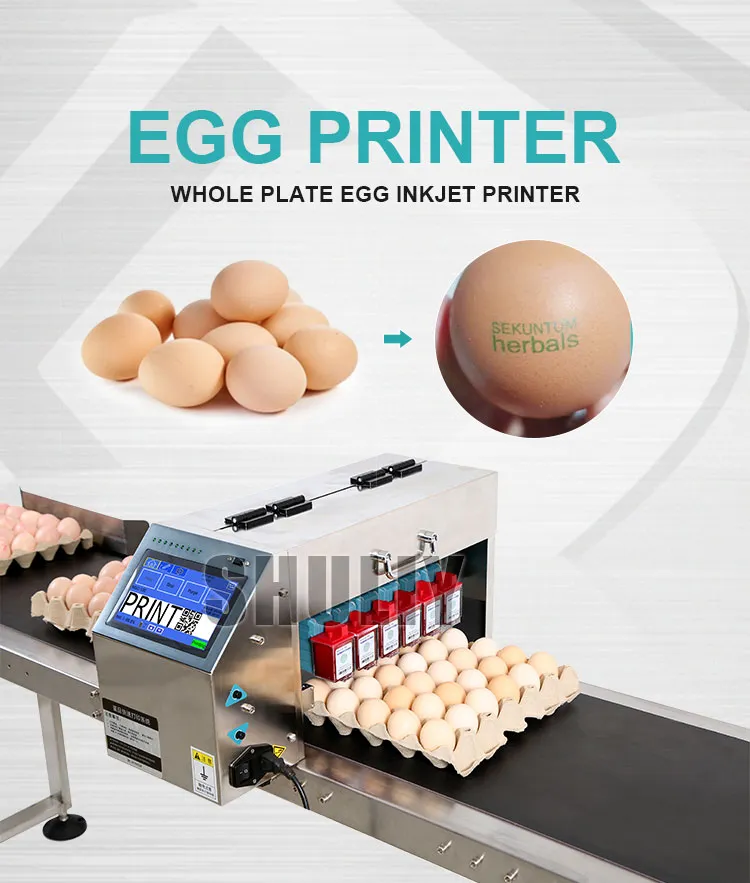 Egg Printing Machine