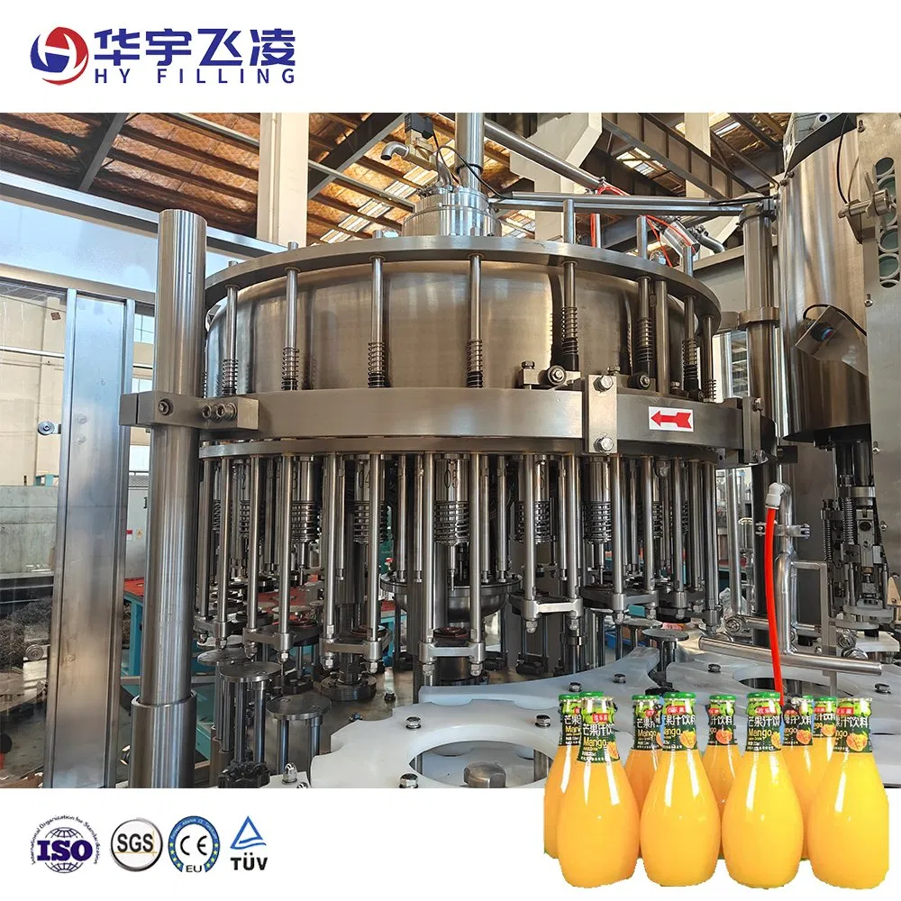 Automatic Glass Bottle Rinsing Capping Screw Cap Ropp Aluminum Capper Filling Machine for Juice and Water with High Quality