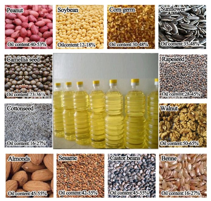 Oil Press for Peanut Cocont Safflower Oil Expeller Machine