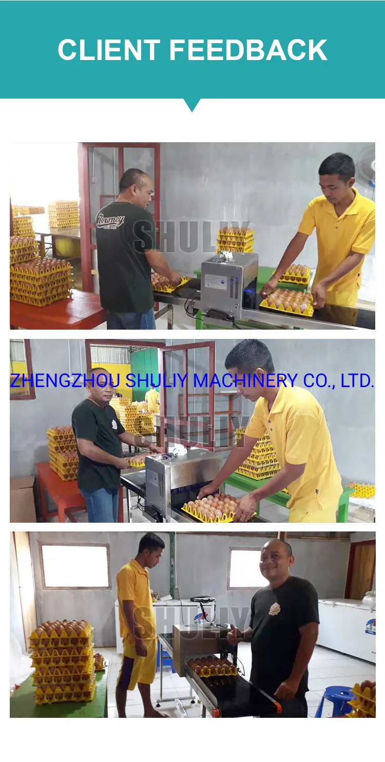 Durable Inkjet Code Printers/ Egg Stamping Machine/Inkjet Coding Machine with Cheap Price