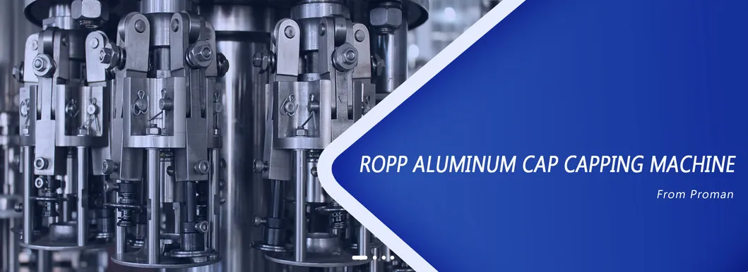 Automatic Rotary Sealing Capping Machine