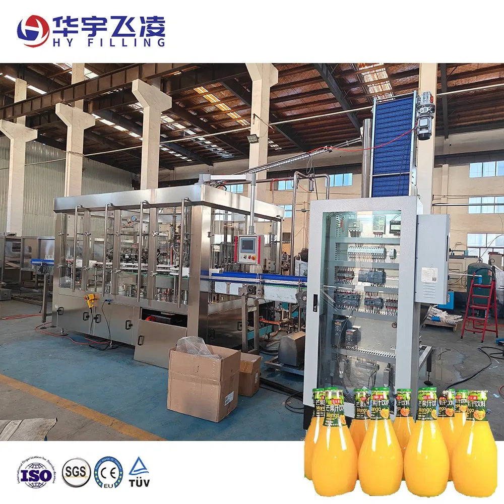 Automatic Glass Bottle Rinsing Capping Screw Cap Ropp Aluminum Capper Filling Machine for Juice and Water with High Quality